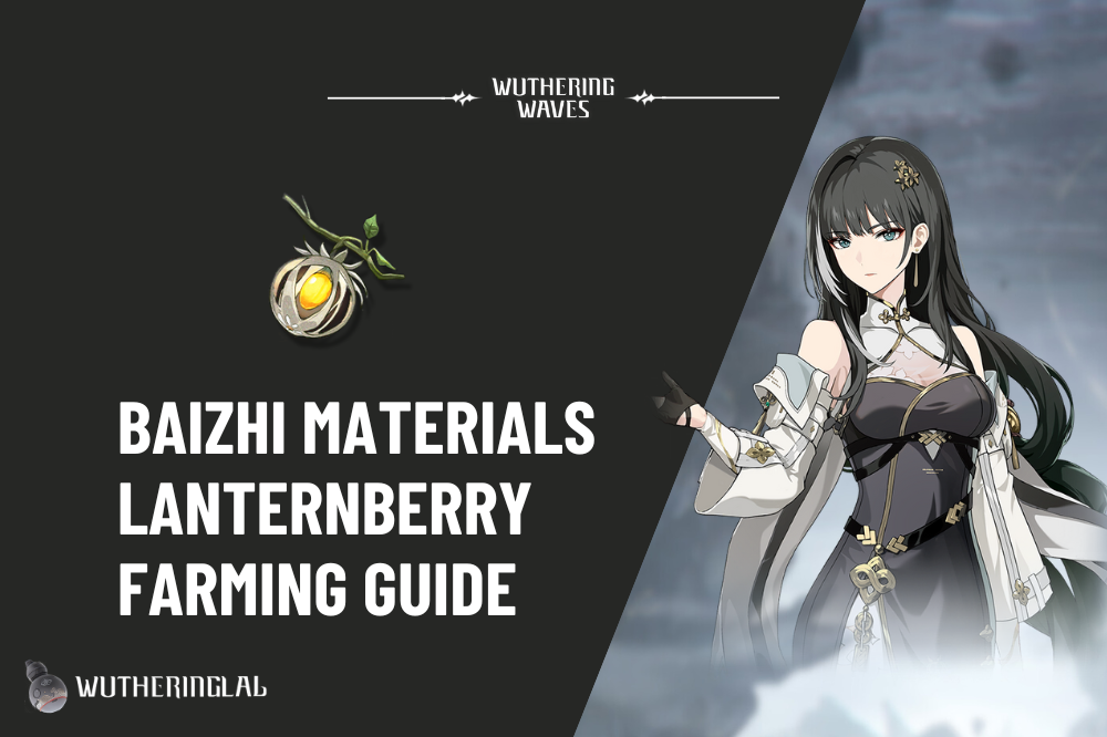 Baizhi Material (Laternberry) Farming Guide - Wuthering Waves