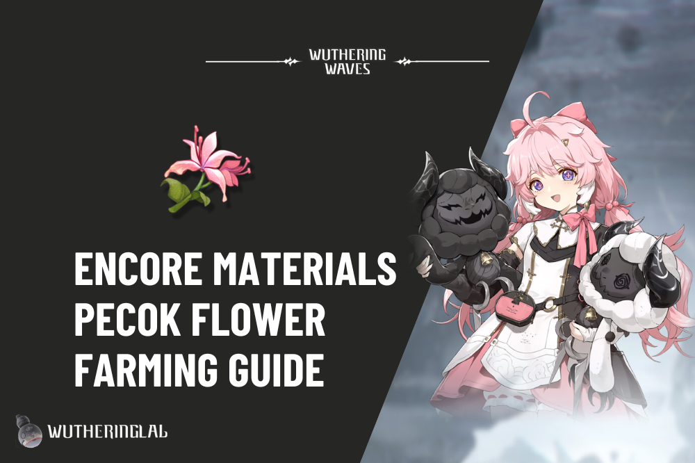 Encore Ascension Material (Pecok Flower) Farming Guide - Wuthering Waves