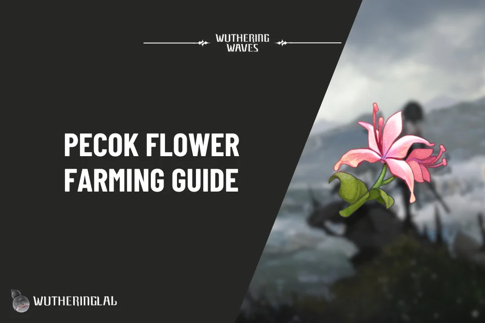 Pecok Flower Farming Guide