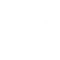 Pistol Pistol